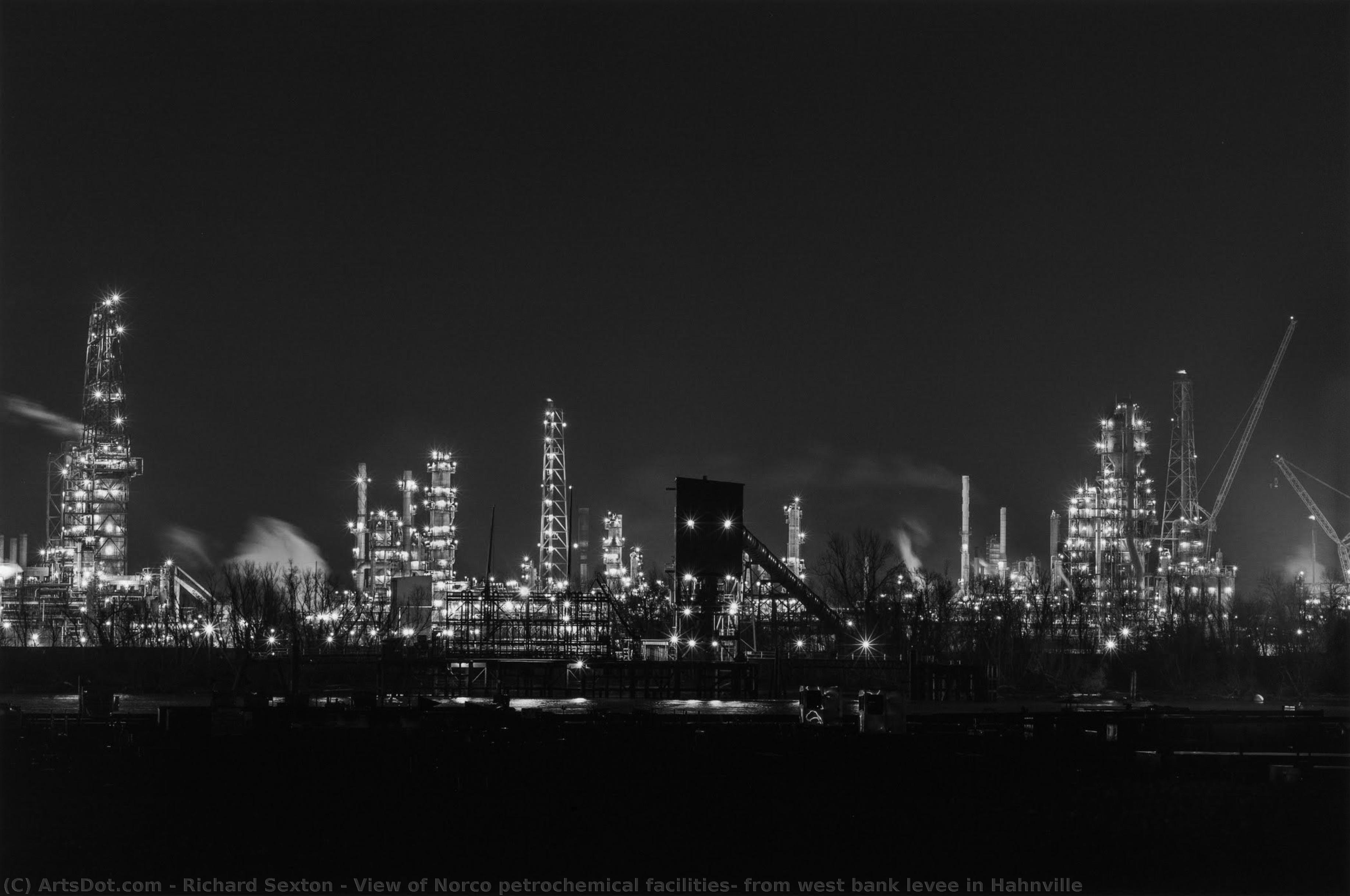 View Of Norco Petrochemical Facilities; From West Bank Levee In Hahnville — Richard Sexton