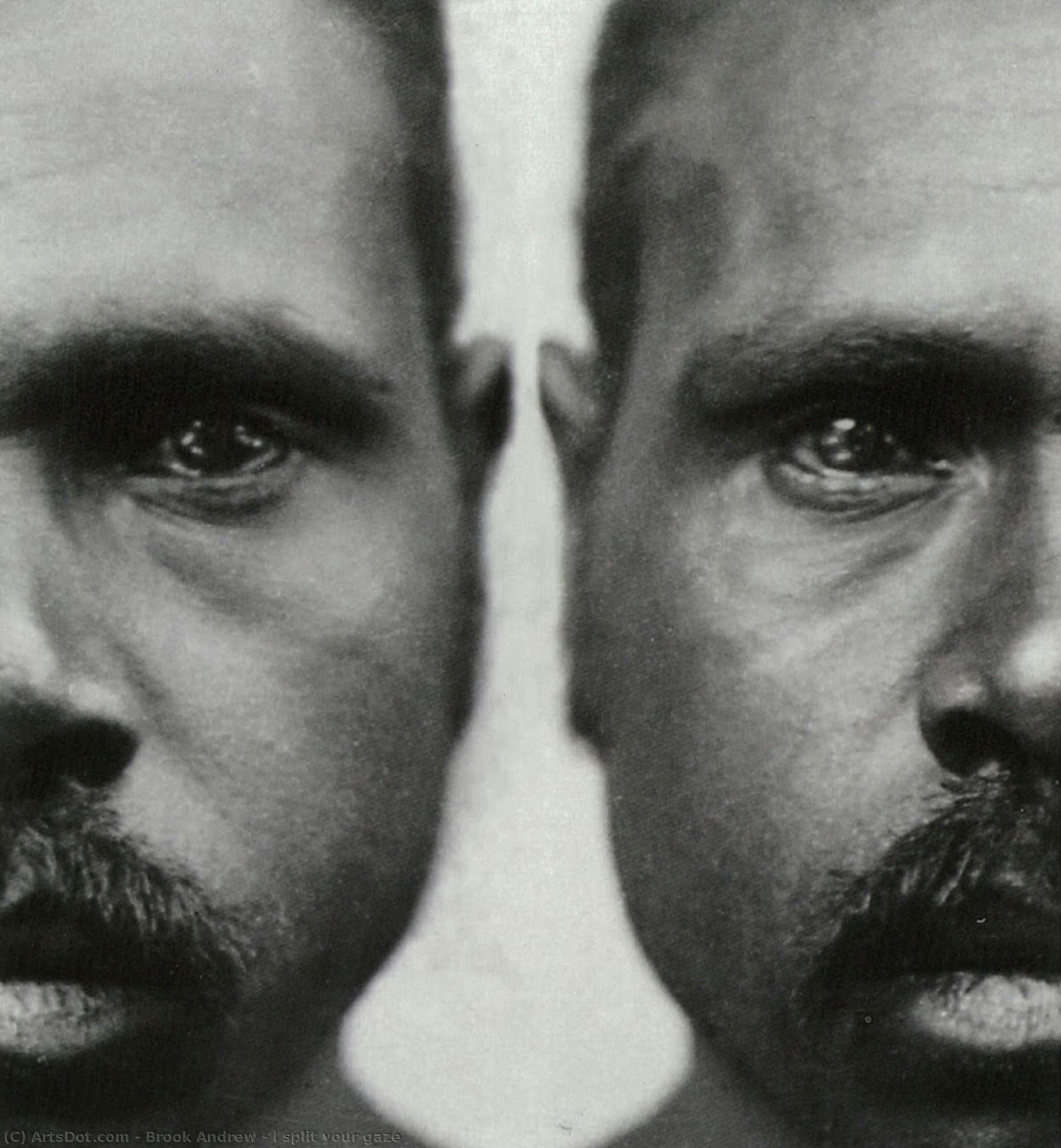 I Split Your Gaze — Brook Andrew