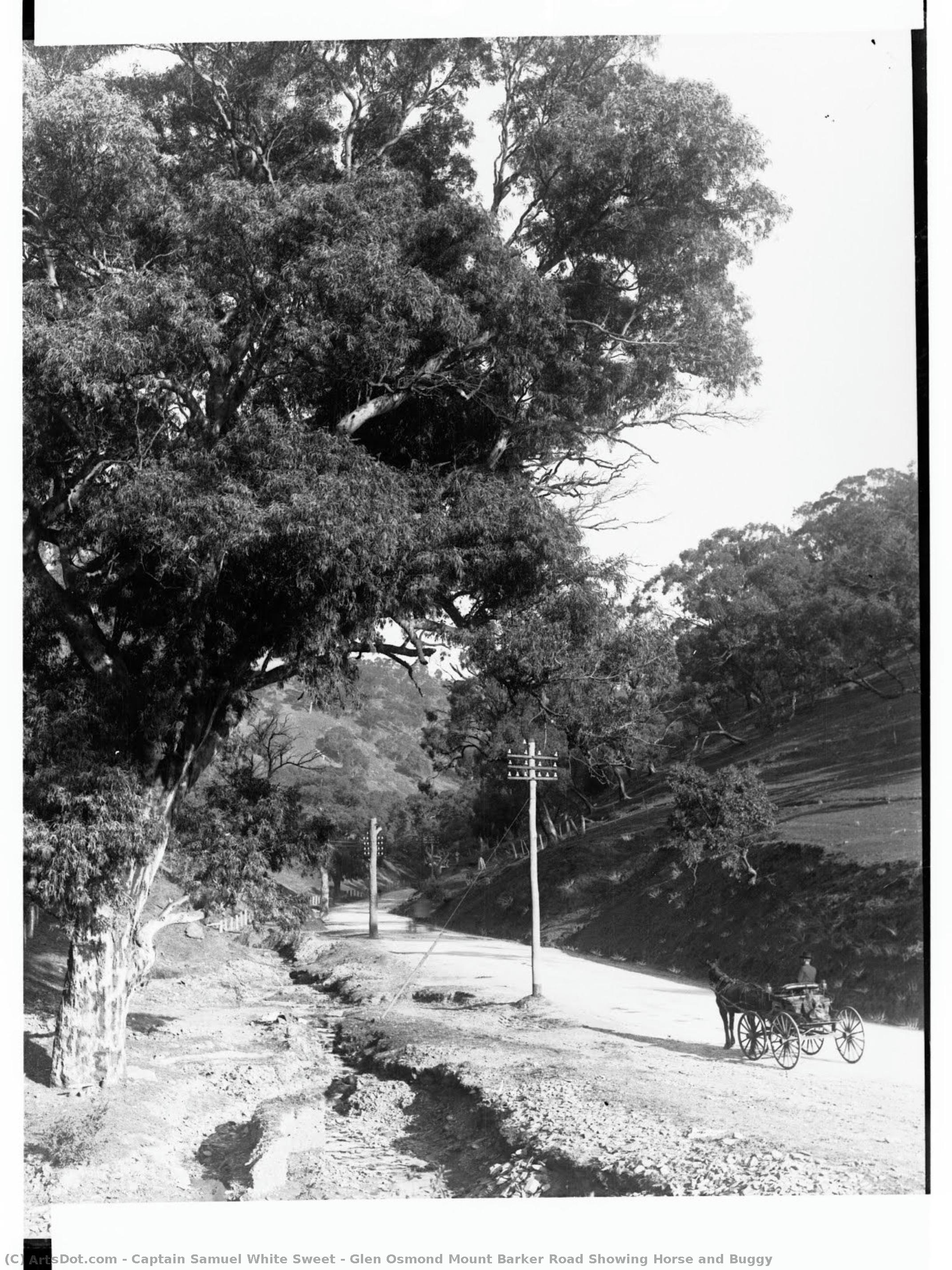 Glen Osmond Mount Barker Road Showing Horse And Buggy — Captain Samuel White Sweet