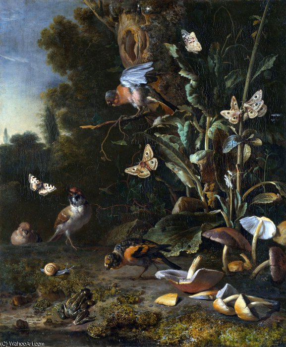 Birds, Butterflies And A Frog Among Plants And Fungi — Melchior De Hondecoetter