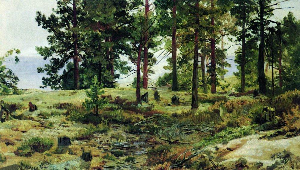 On Sandy Soil. Mary-howie On Finnish Railways — Ivan Ivanovich Shishkin