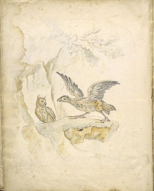 Bird Confronting An Owl Before A Cave — Jean-baptiste Oudry