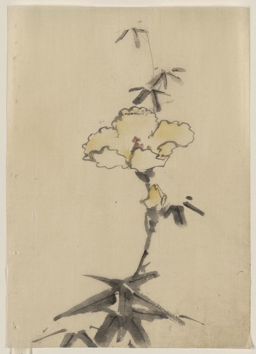 Yellow Blossom With Bud On A Stalk Above Leaves — Katsushika Hokusai