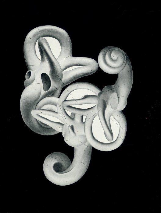 Untitled (139) — Frederick Sommer