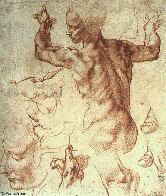 The Libyan Sibyl, Study — Michelangelo Buonarroti