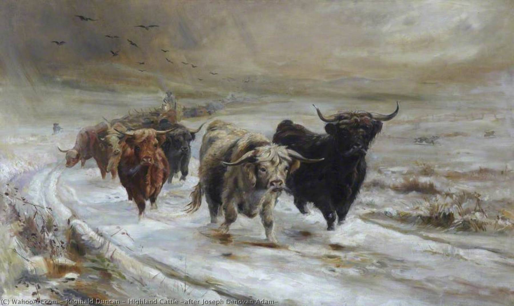 Highland Cattle (after Joseph Denovan Adam) — Reginald Duncan