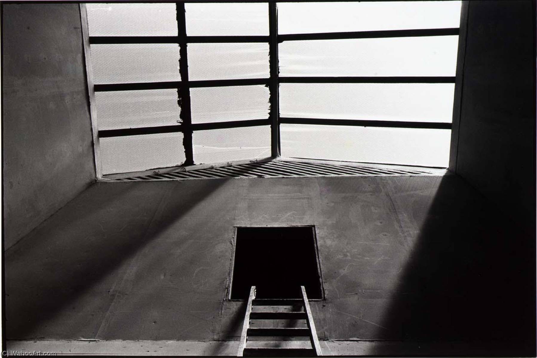 Untitled (ladder Window) — Paul Hester