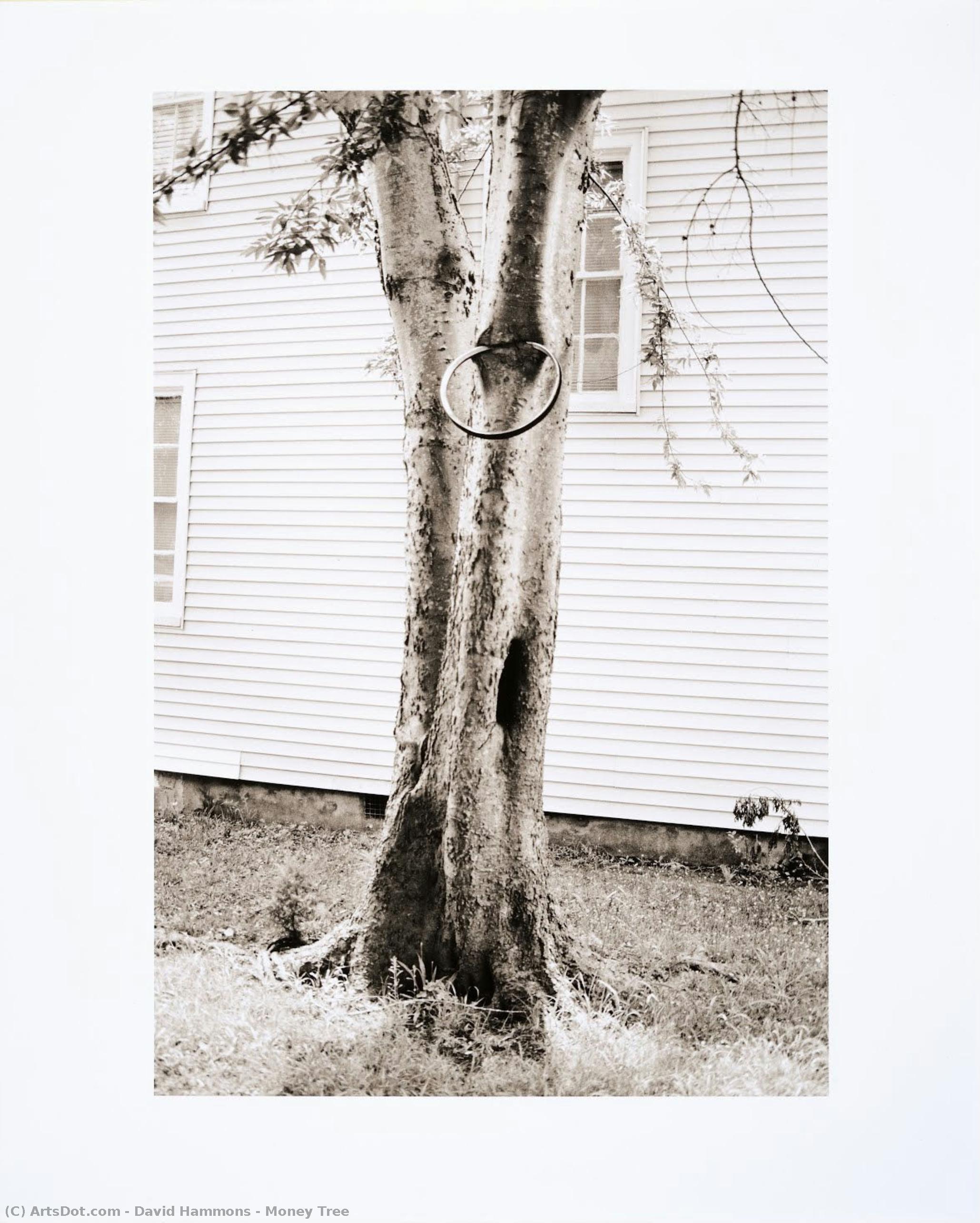 Money Tree — David Hammons