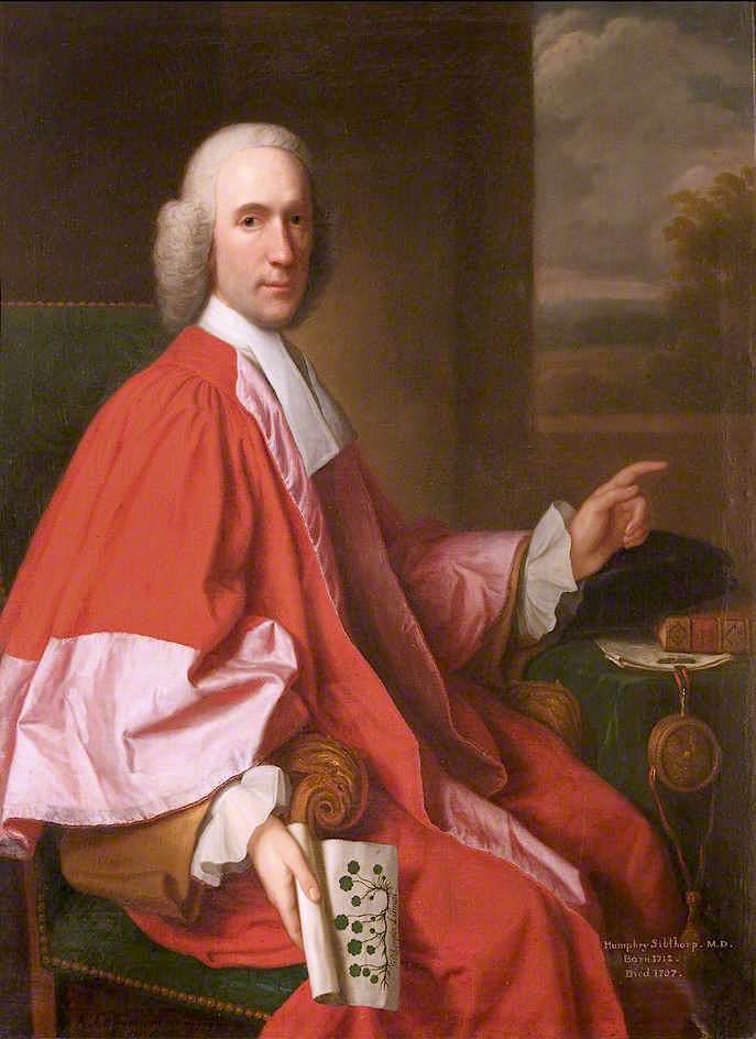 Humphrey Sibthorp, Md — Adriaen Carpentiers