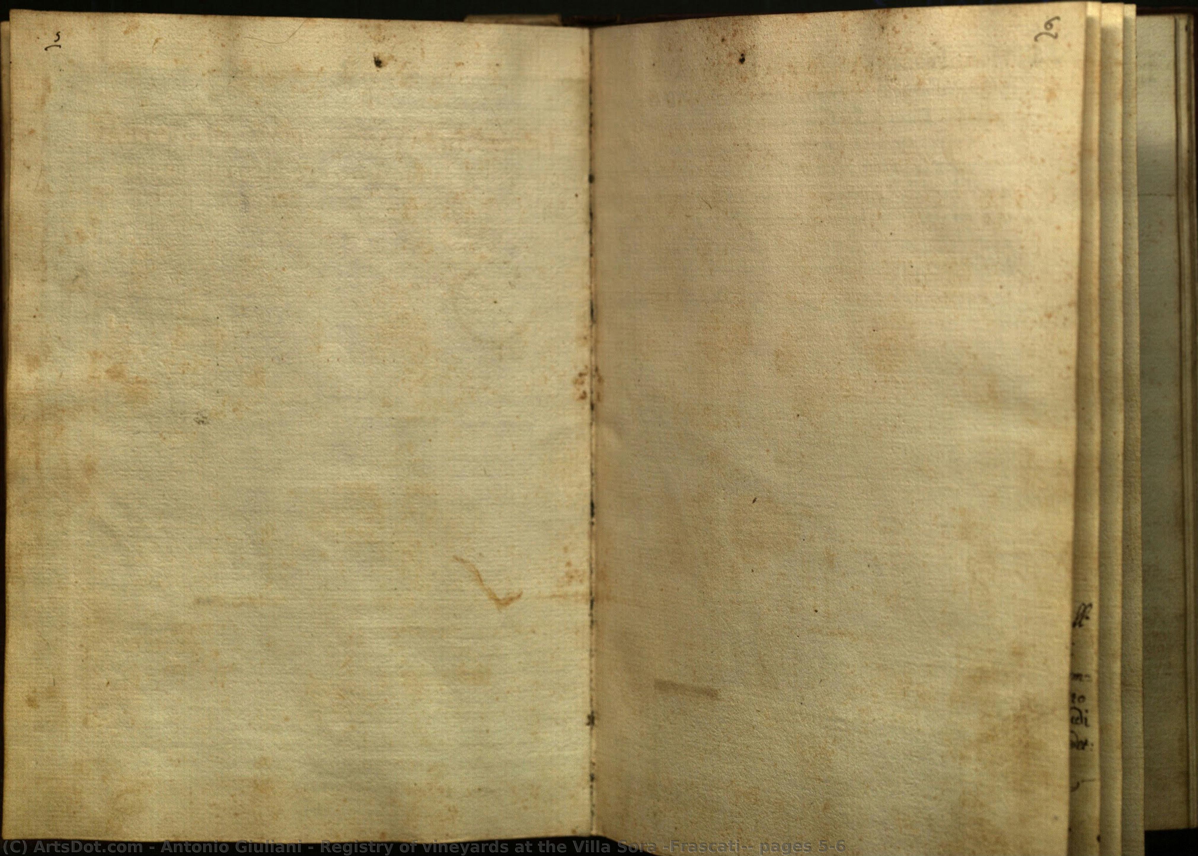 Registry Of Vineyards At The Villa Sora (frascati): Pages 5-6 — Antonio Giuliani