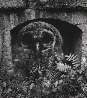 Dwelling Of The Wise — Jerry N. Uelsmann