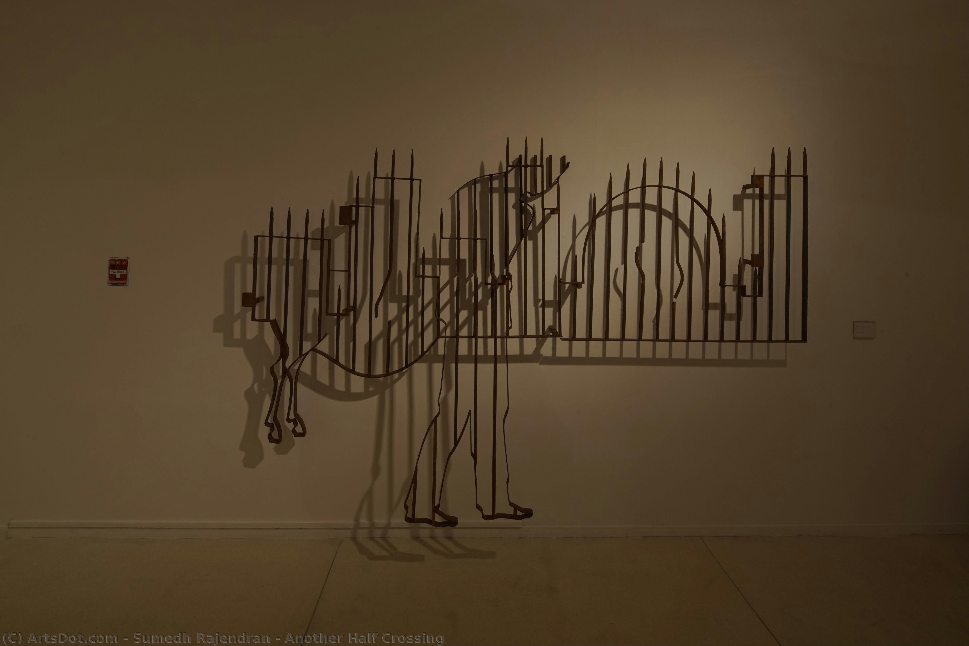 Another Half Crossing — Sumedh Rajendran
