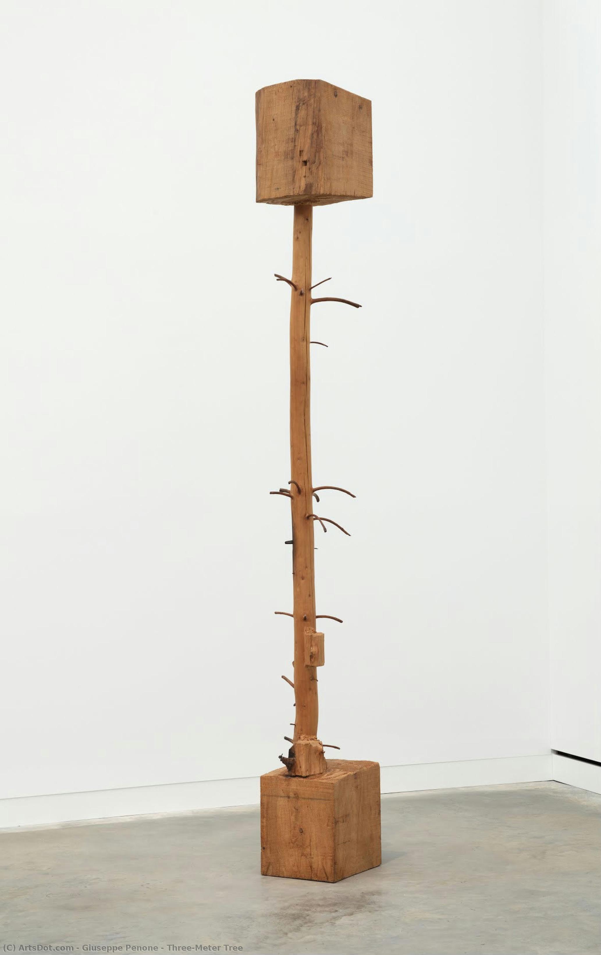 Three-meter Tree — Giuseppe Penone