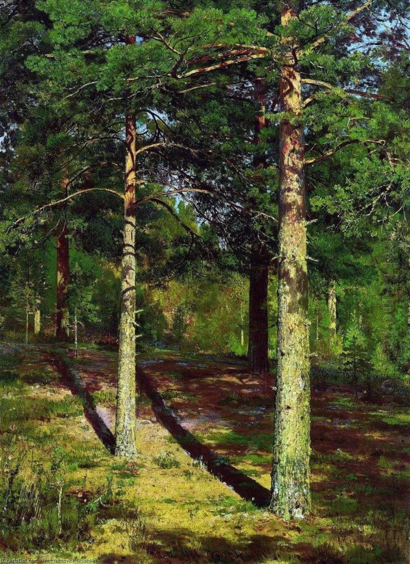 Los Pinos Iluminados Por El Sol — Ivan Ivanovich Shishkin