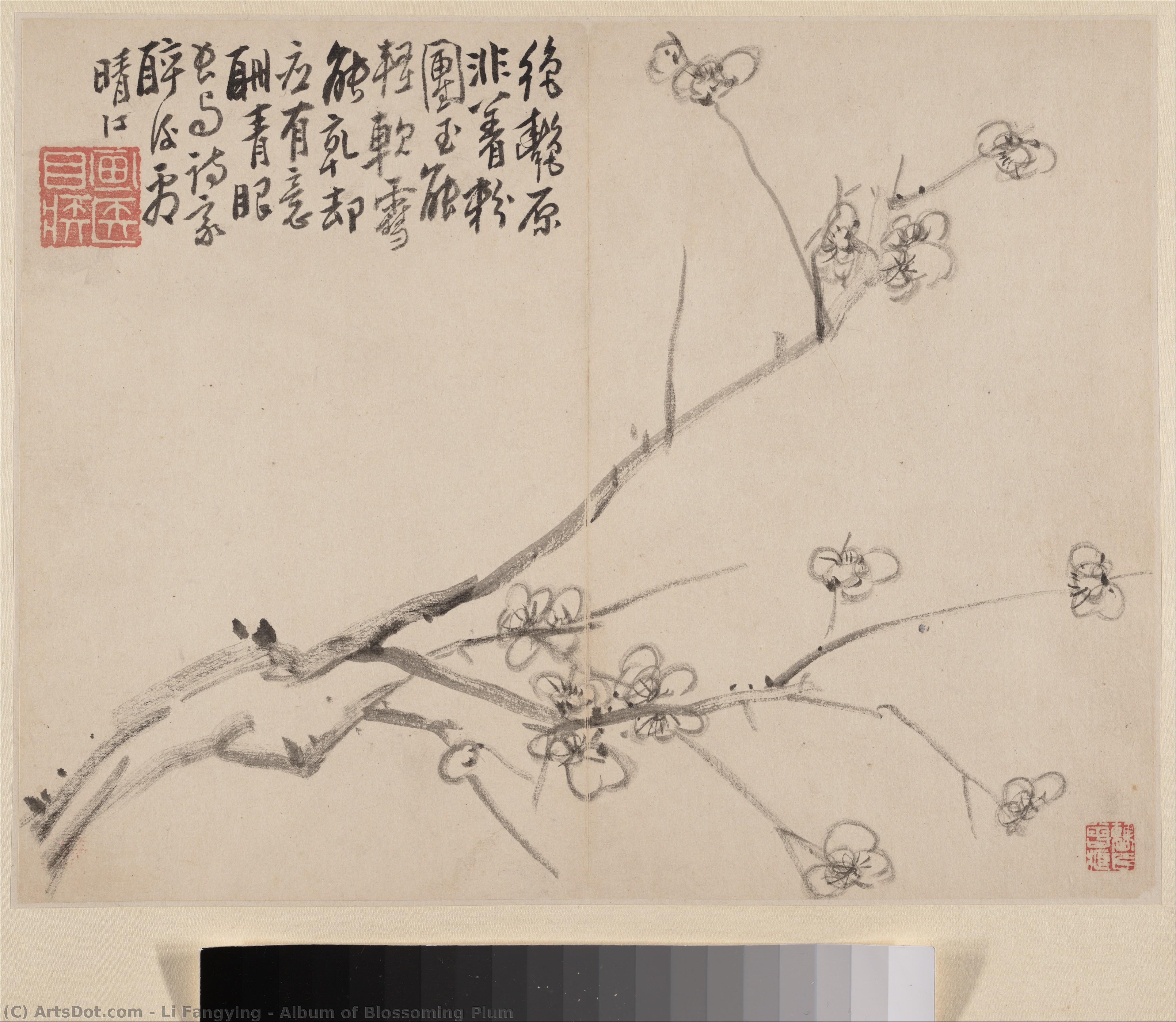 Untitled (d2x7r5) — Li Fangying