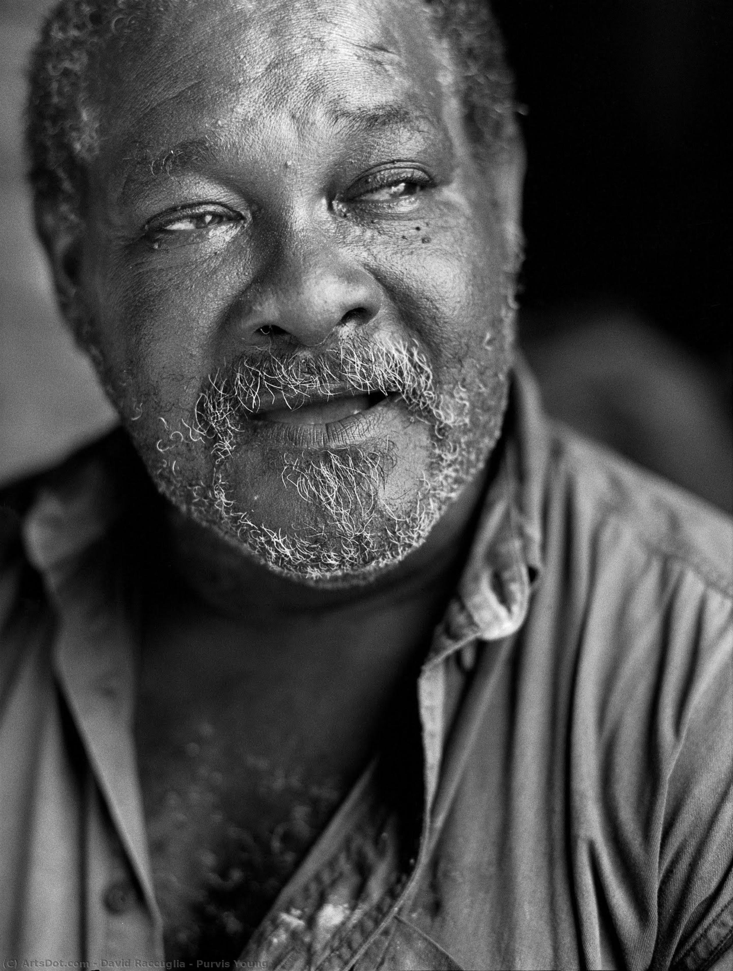 Purvis Young — David Raccuglia