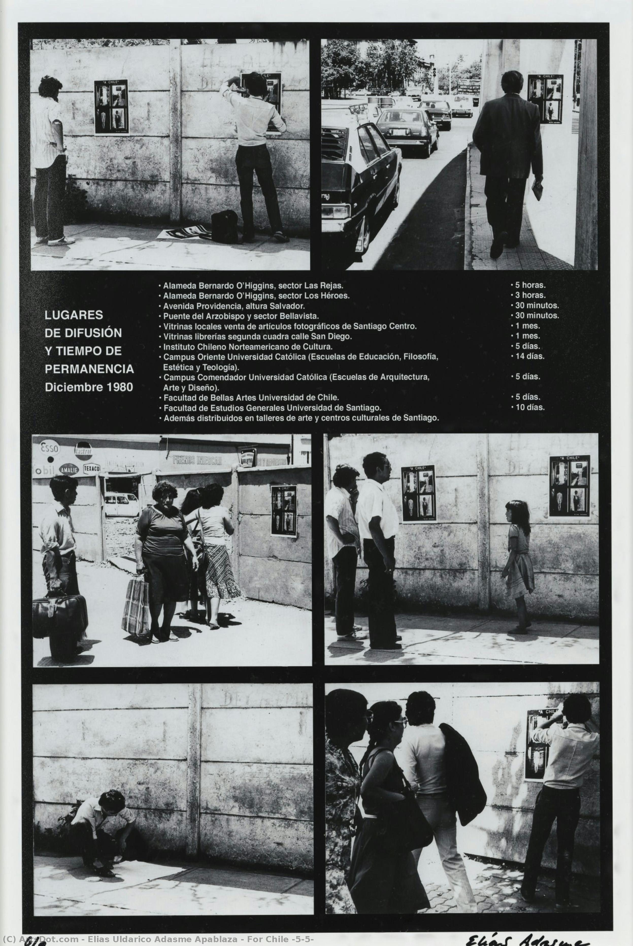 For Chile (5/5) — Elias Uldarico Adasme Apablaza