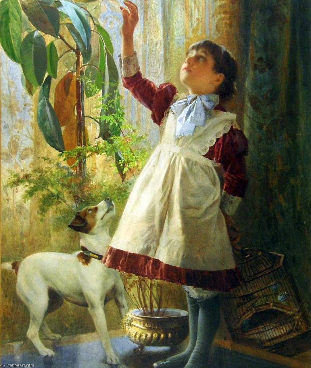 The Little Rebel — Alexander Mark Rossi