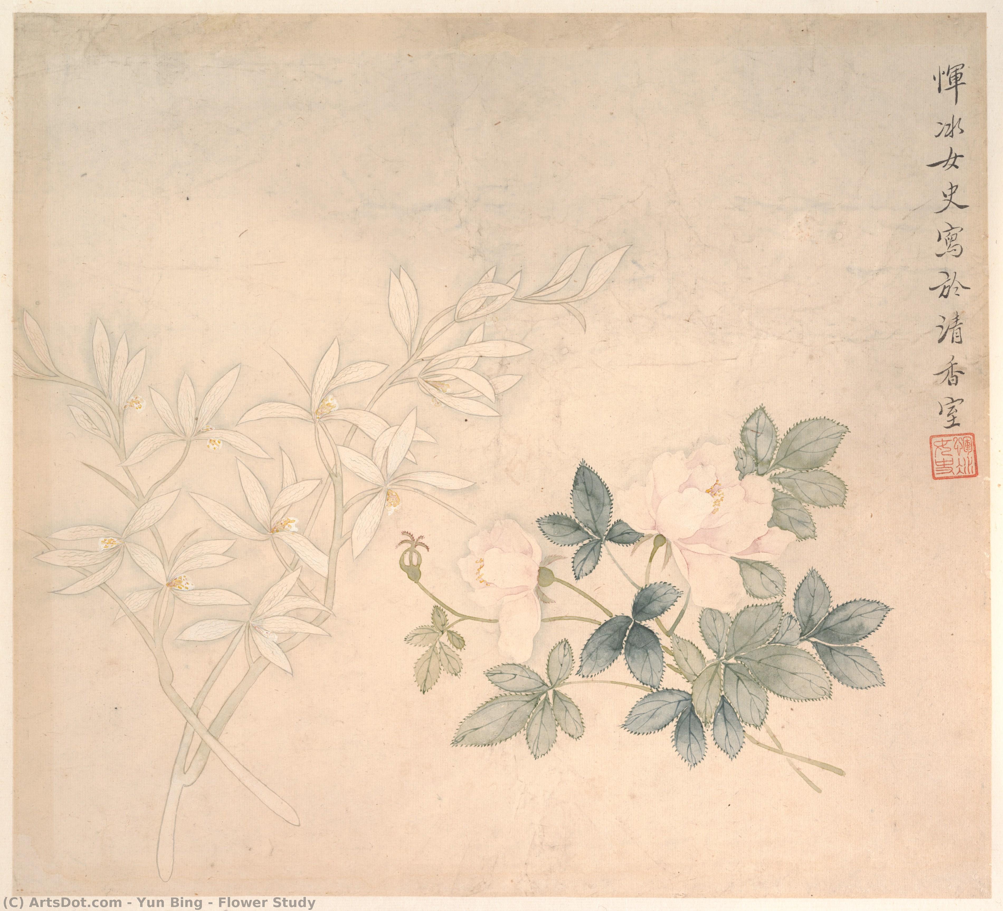 Flower Study — Yun Bing