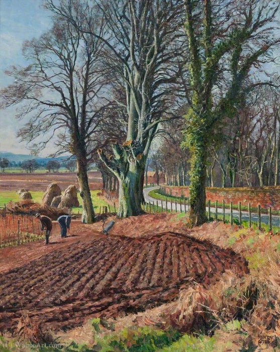 The Carse Of Gowrie, Near Rossie Priory — James Mcintosh Patrick
