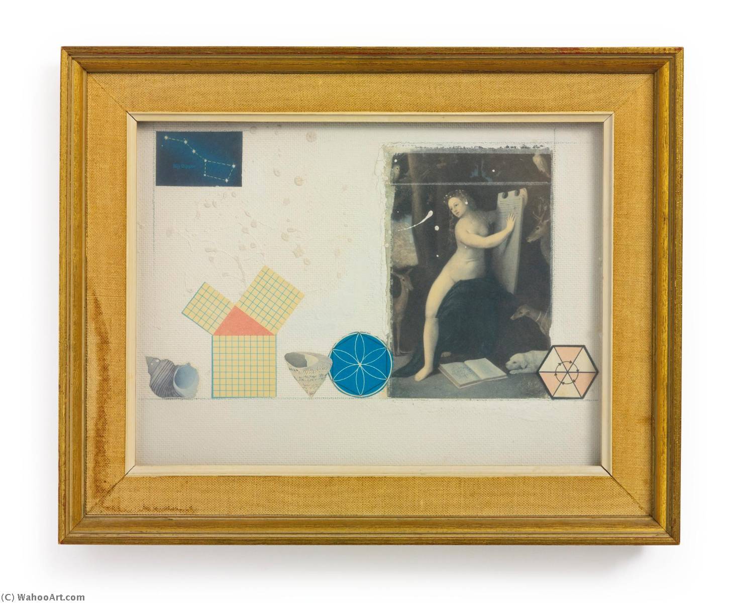 Mathematics In Nature — Joseph Cornell