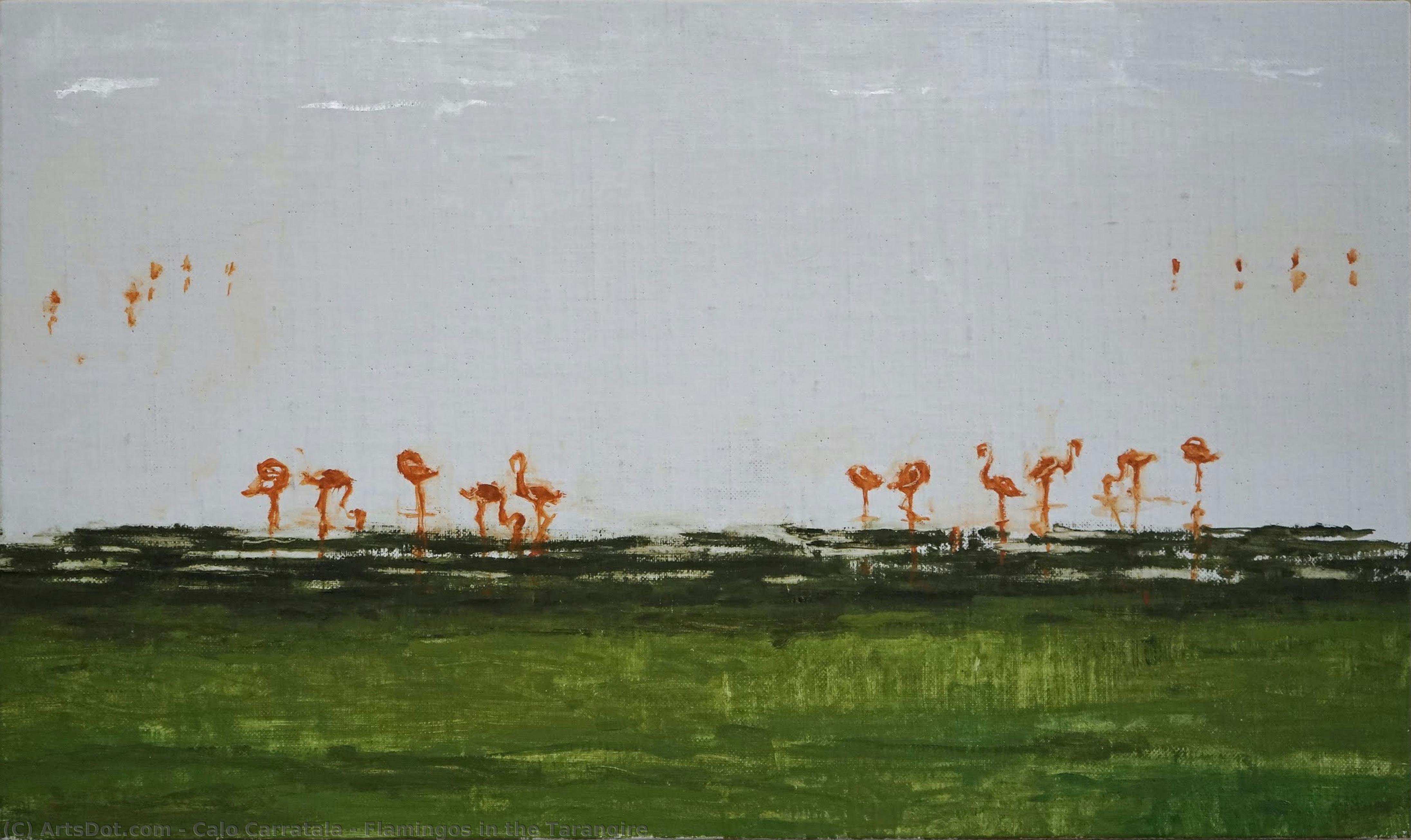 Flamingos In The Tarangire — Calo Carratalá