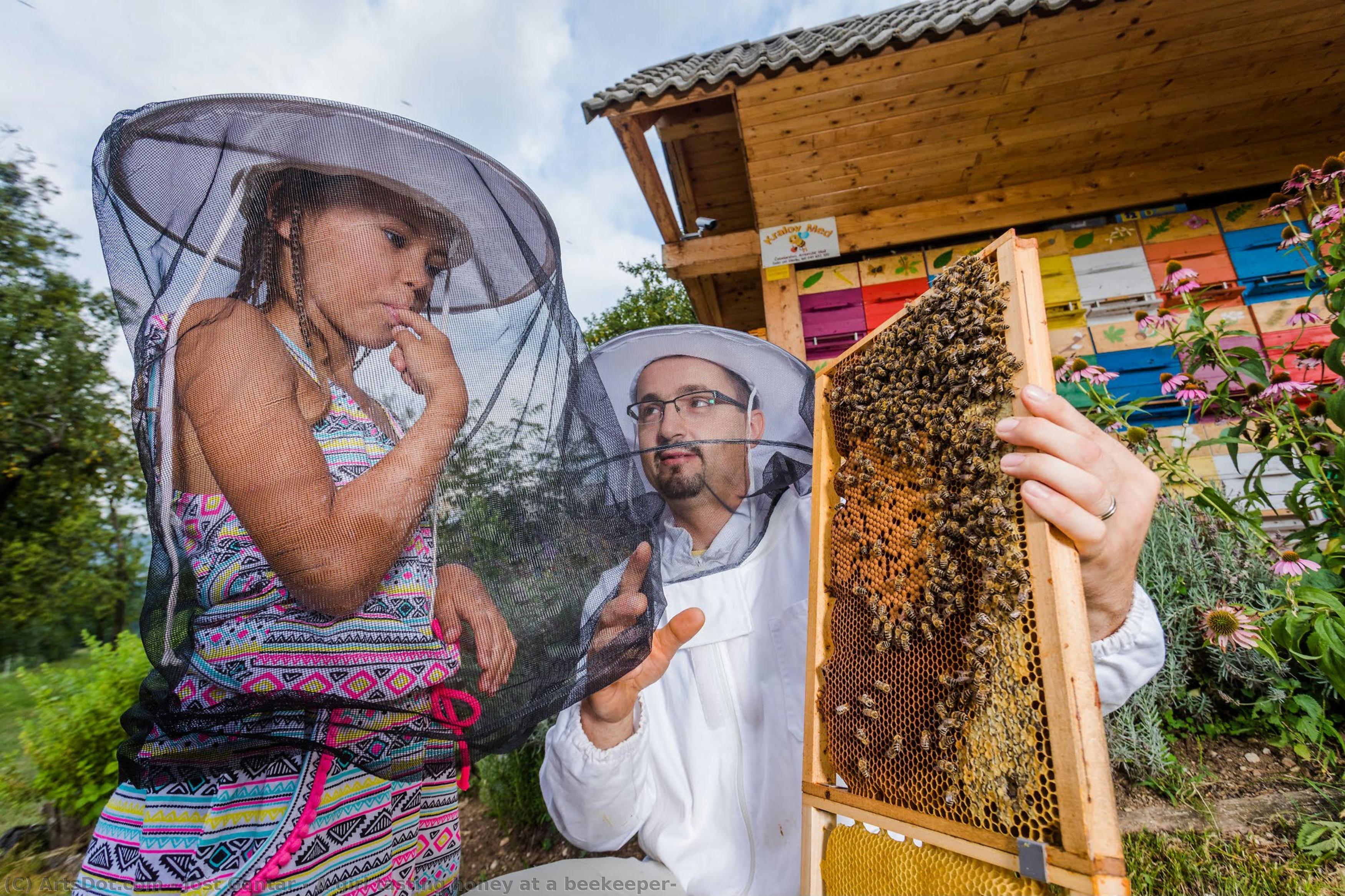 A Girl Tasting Honey At A Beekeeper — Jošt Gantar