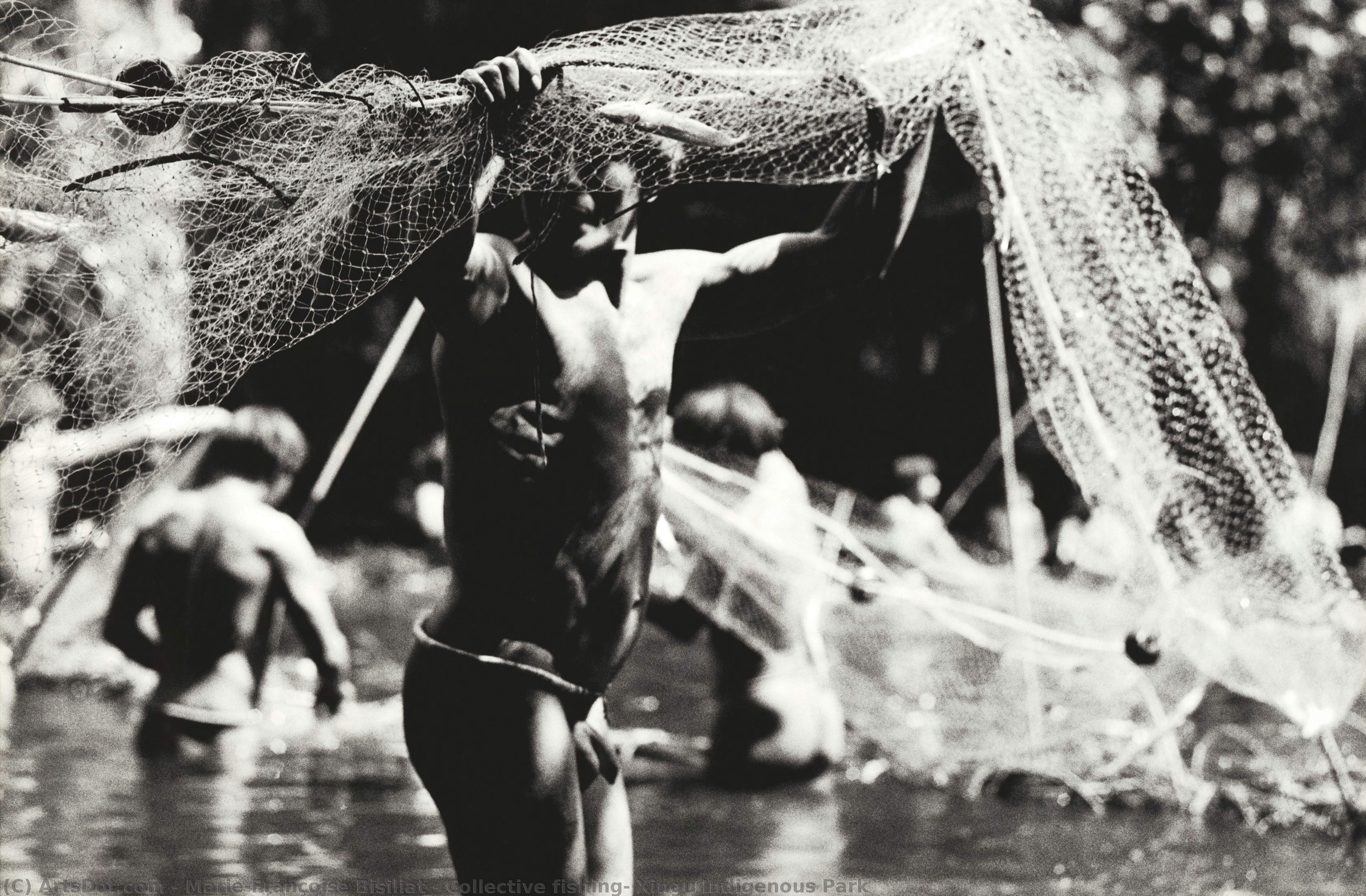 Collective Fishing, Xingu Indigenous Park — Marie-françoise Bisiliat