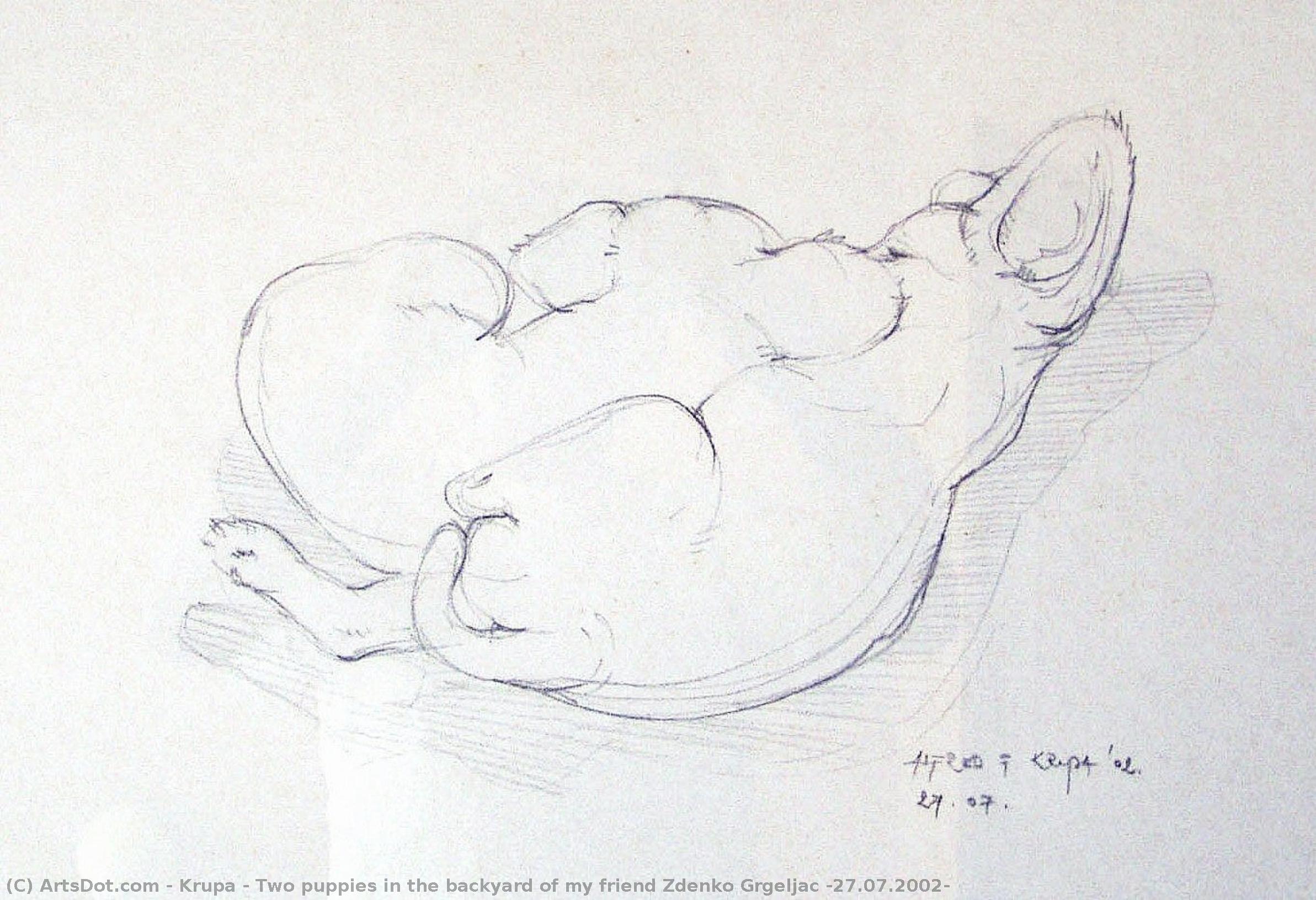 Two Puppies In The Backyard Of My Friend Zdenko Grgeljac (27.07.2002) — Alfred Freddy Krupa