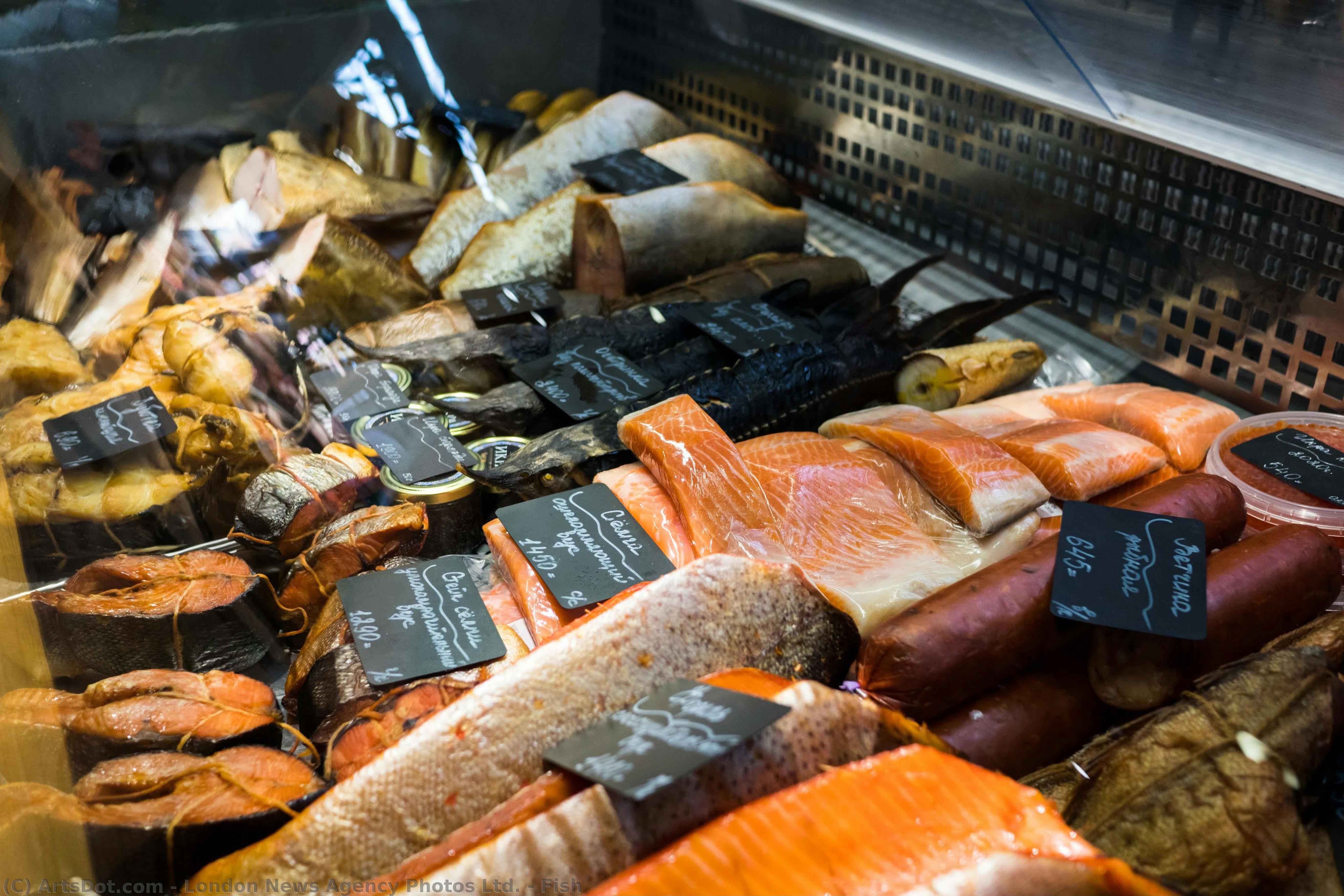 Fish — London News Agency Photos, Ltd