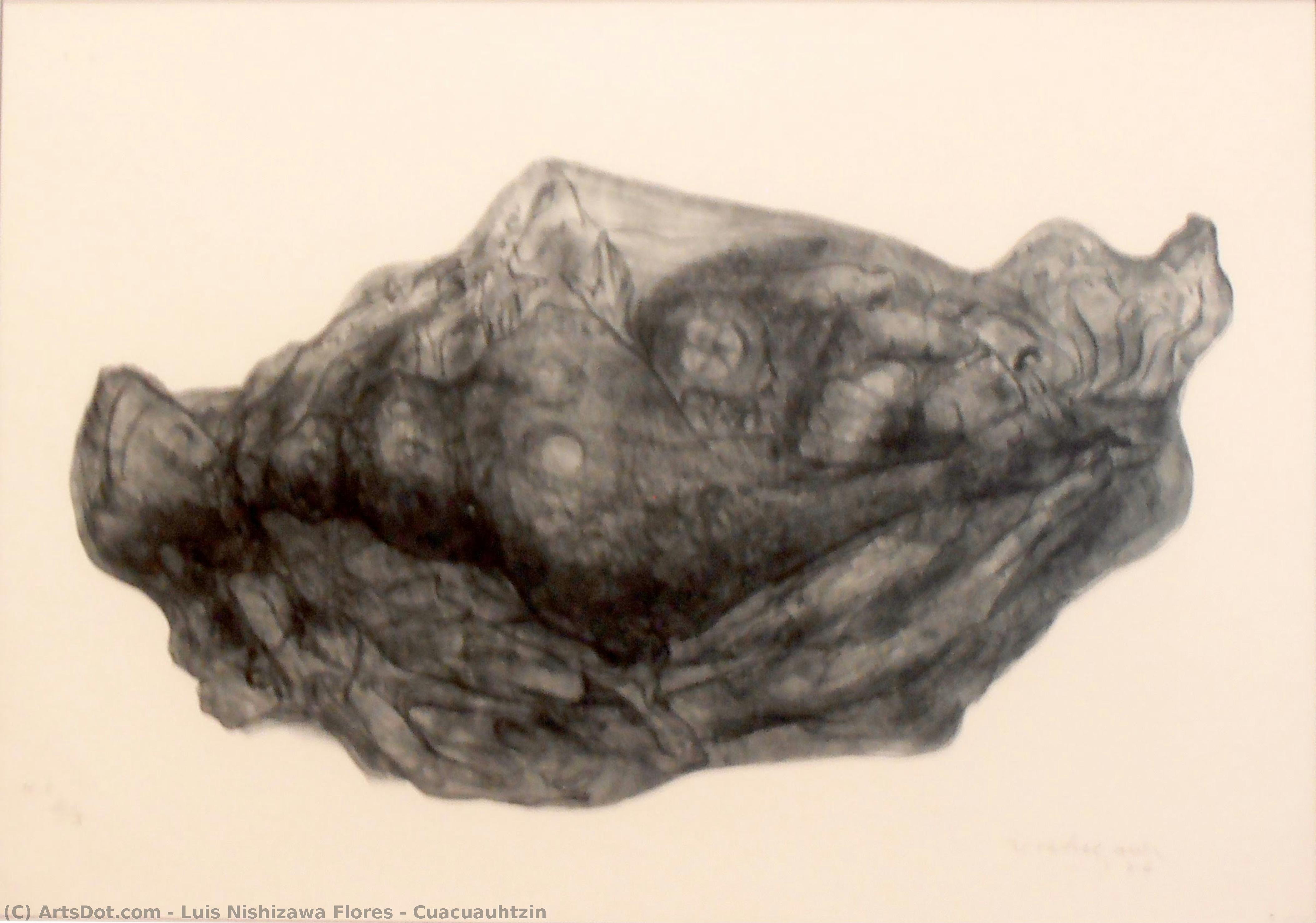 Cuacuauhtzin — Luis Nishizawa Flores