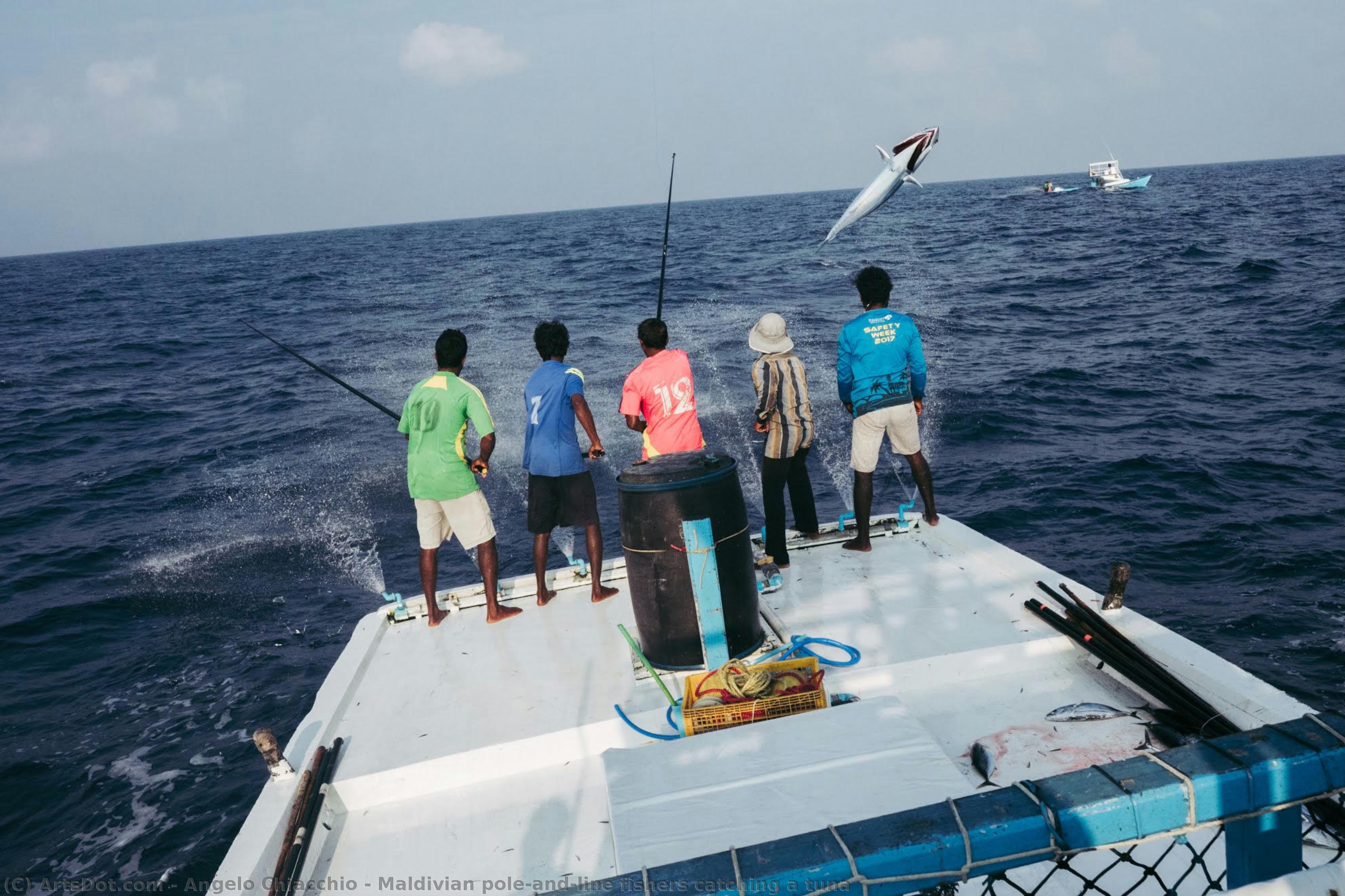 Maldivian Pole-and-line Fishers Catching A Tuna — Angelo Chiacchio