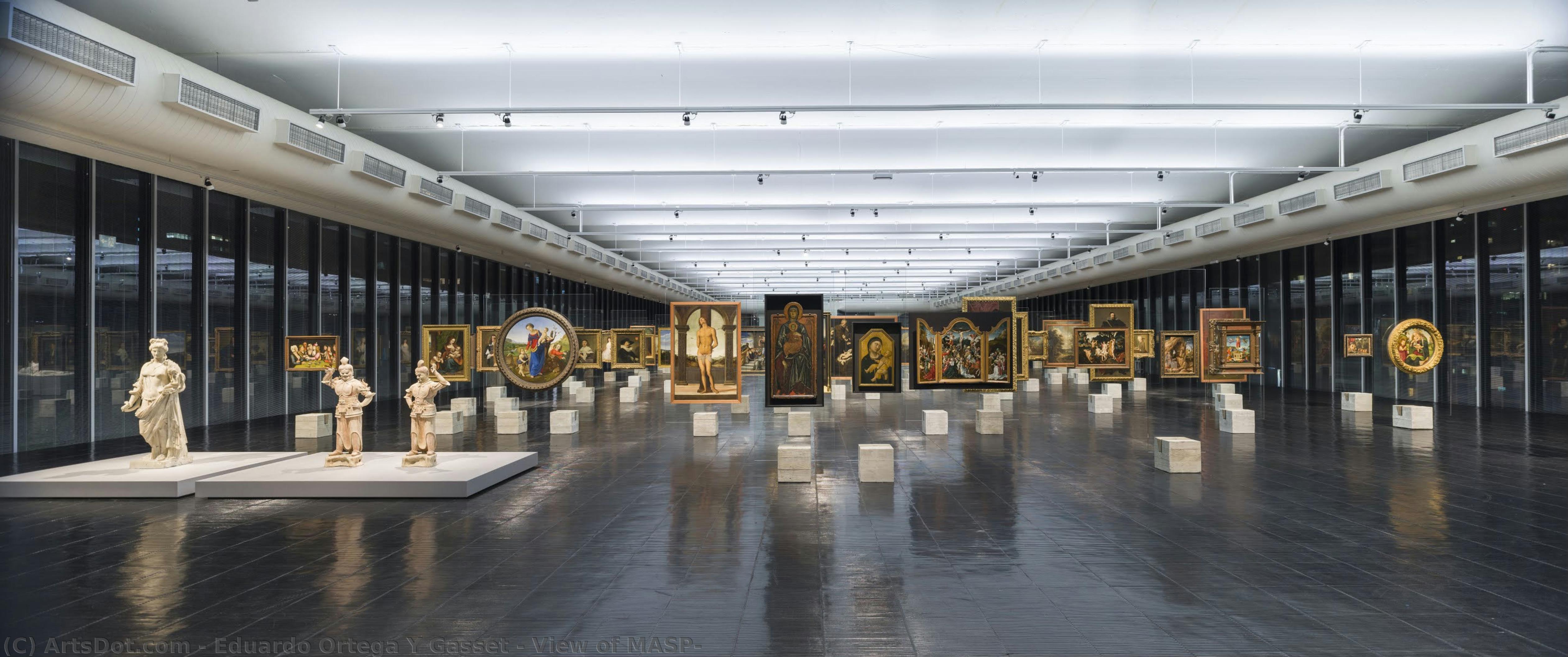 View Of Masp — Eduardo Ortega Y Gasset