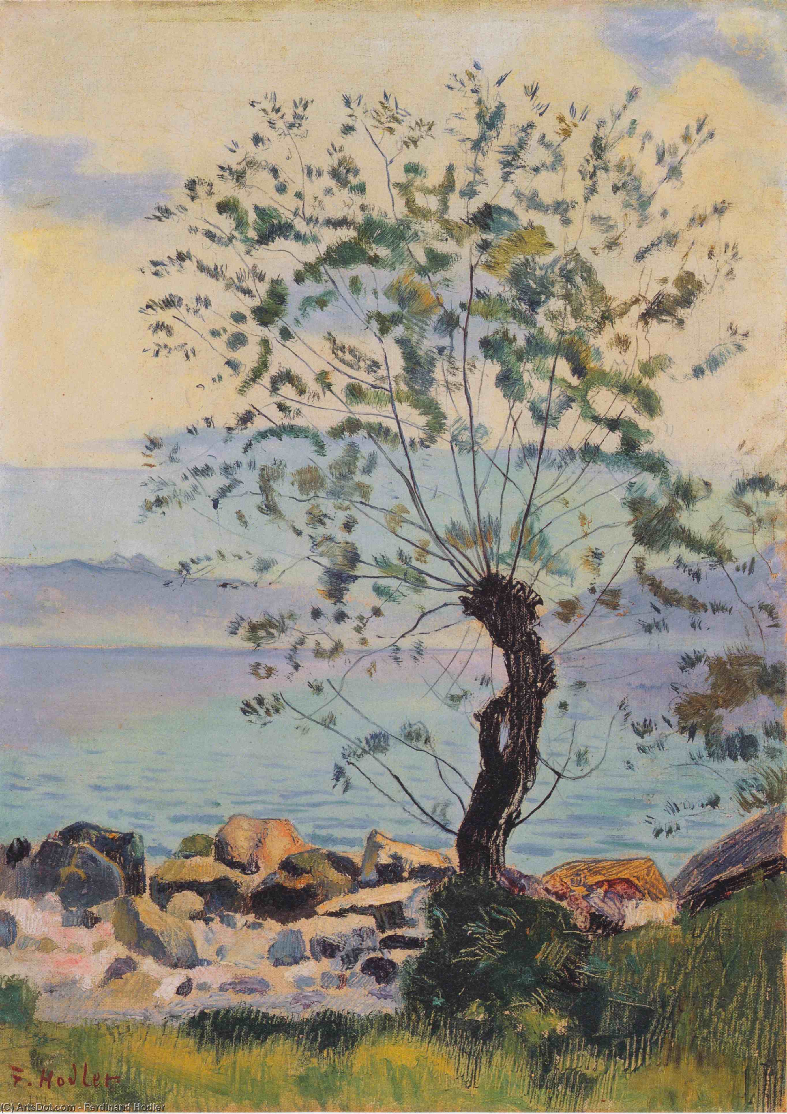 Willow Tree By The Lake — Ferdinand Hodler