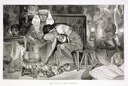 The Death Of The Firstborn — Carl (friedrich Heinrich) Werner