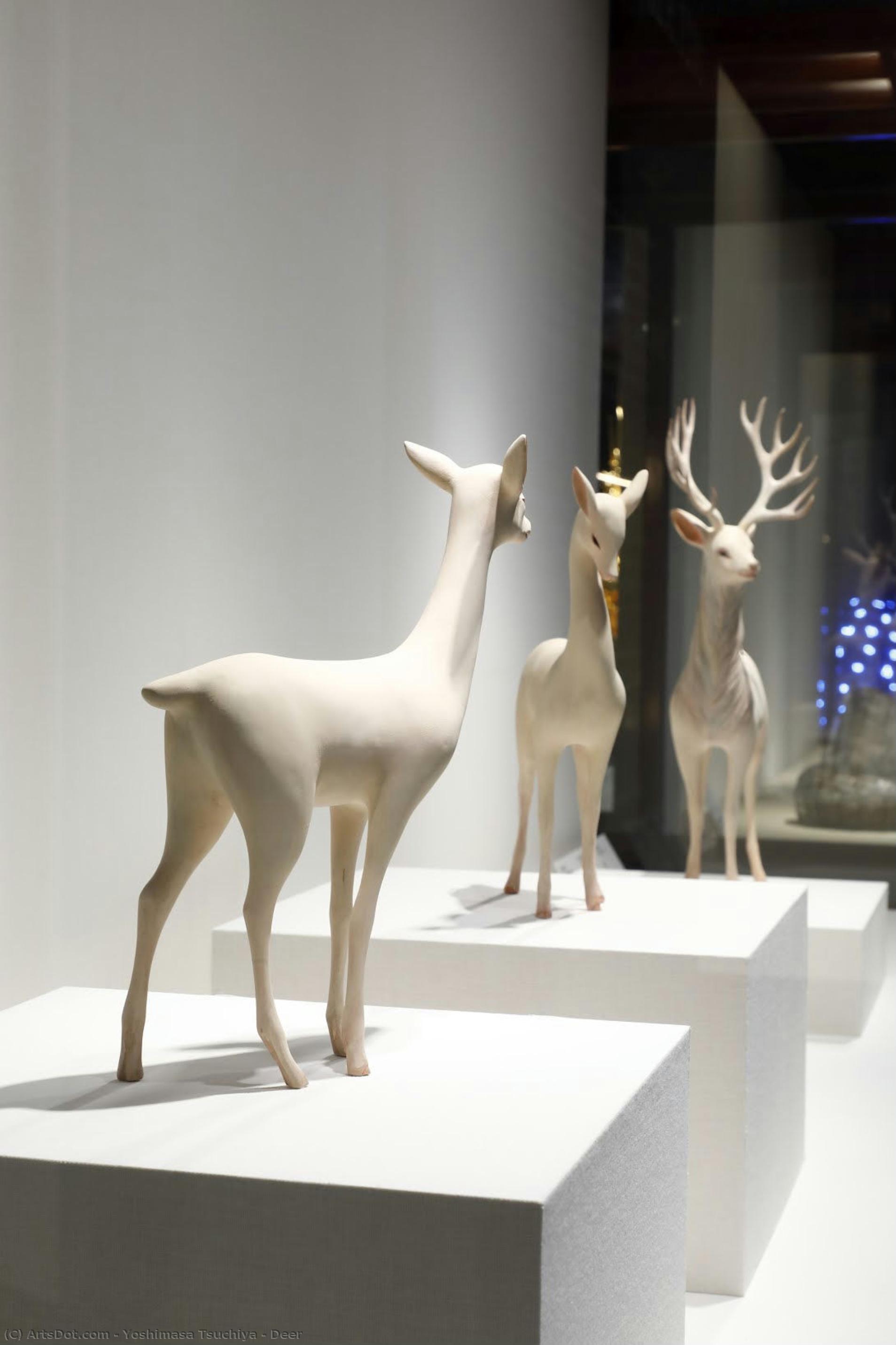 Deer — Yoshimasa Tsuchiya