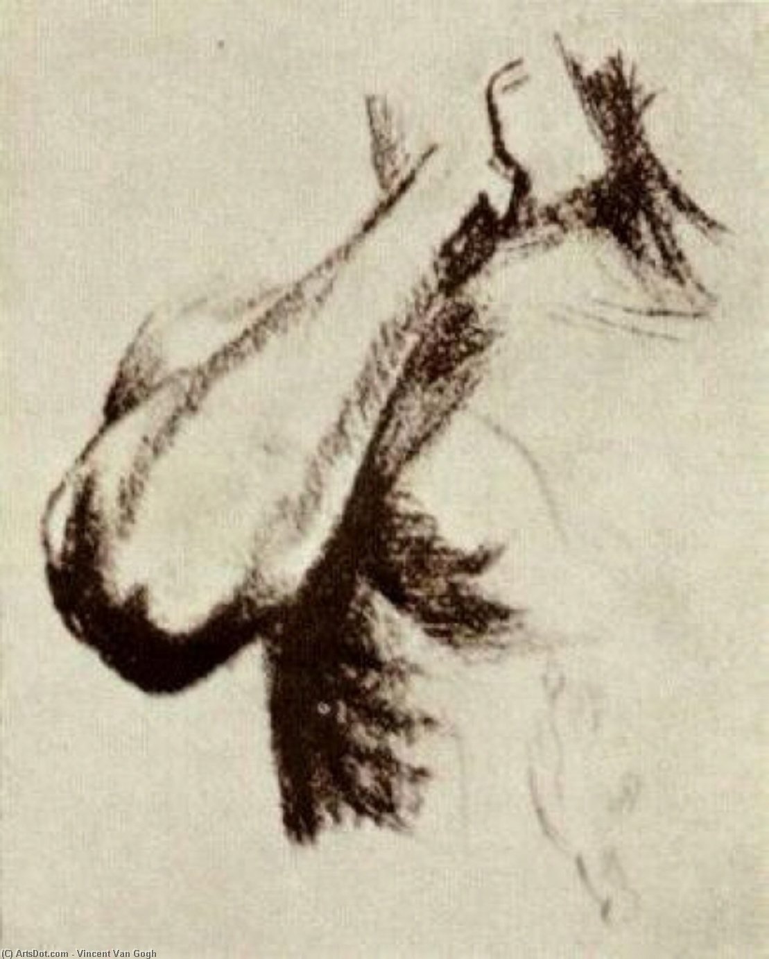 Bosquejo De Un Brazo Y Hombro Derecho — Vincent Willem Van Gogh