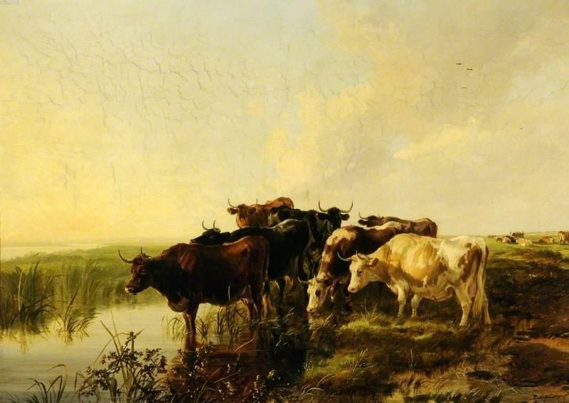 In The Whitehall Meadows, Canterbury, Kent — Tomas Sidni Kuper