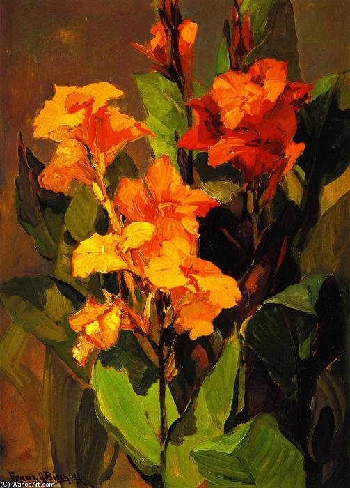 Canna Lilies — Franz Bischoff