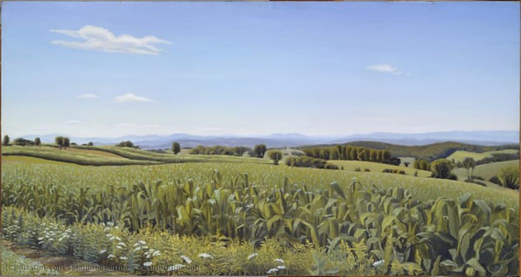 Cambridge Corn — Marjorie Portnow
