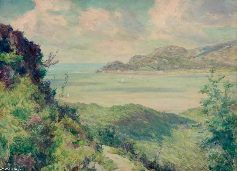 Barmouth Estuary — Robert Fowler