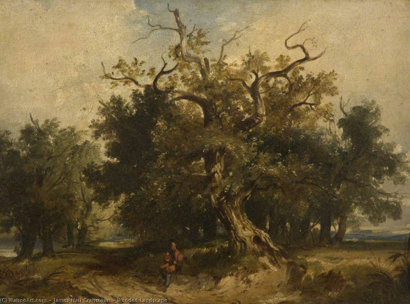 Wooded Landscape — James Hall Cranstoun