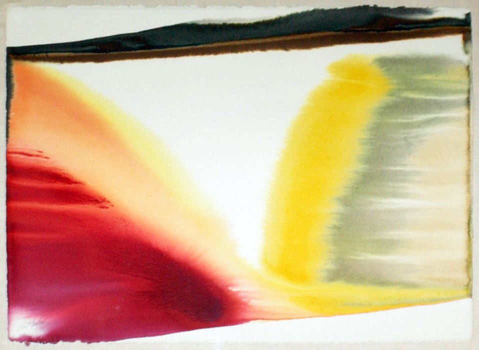 Phenomena Pointed Eas — Paul Jenkins