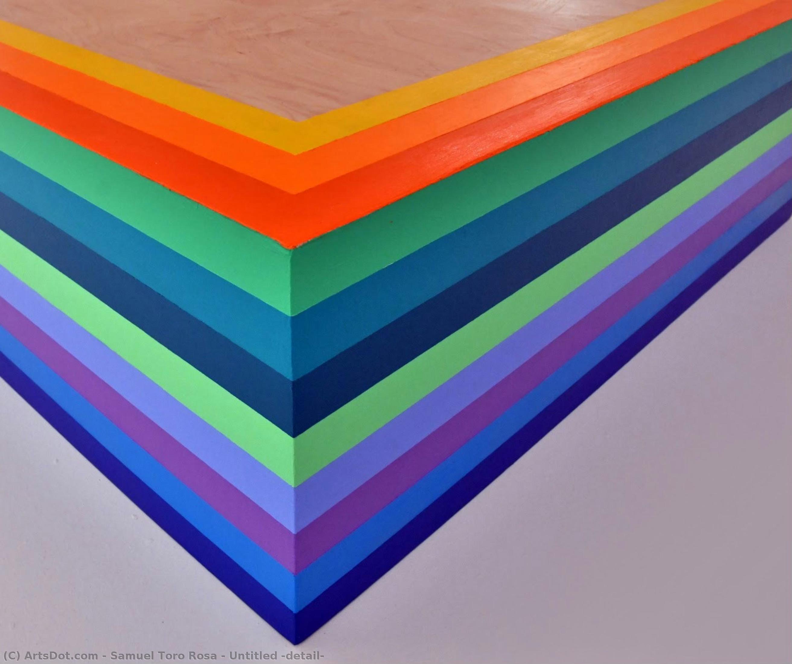Untitled (detail) — Samuel Toro Rosa