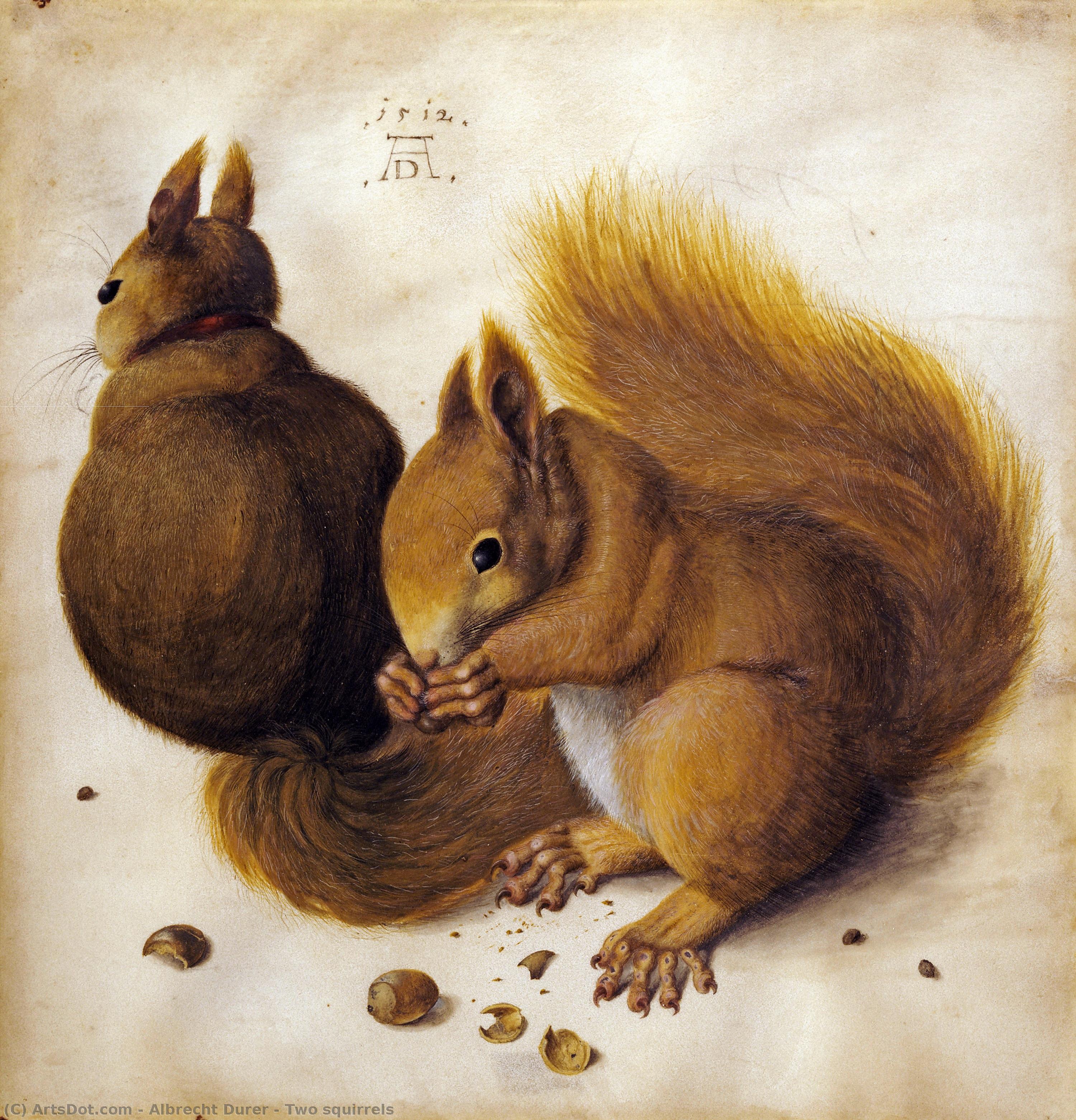 Two Squirrels — アルブレヒト・デューラー