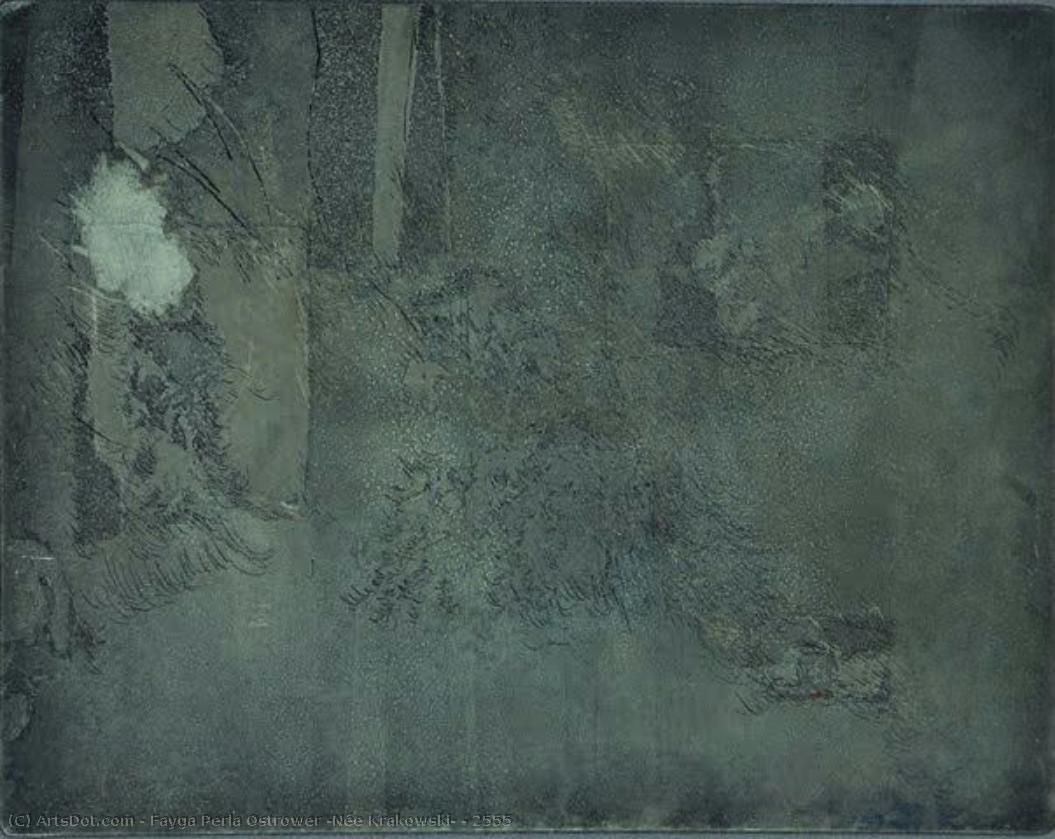2555 — Fayga Perla Ostrower (née Krakowski)