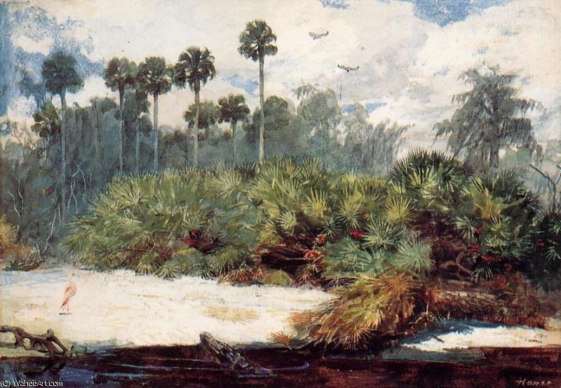 Florida Jungle — Винслоу Хомер