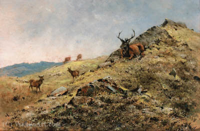 Afternoon Sunshine, Killilan — George Edward Lodge