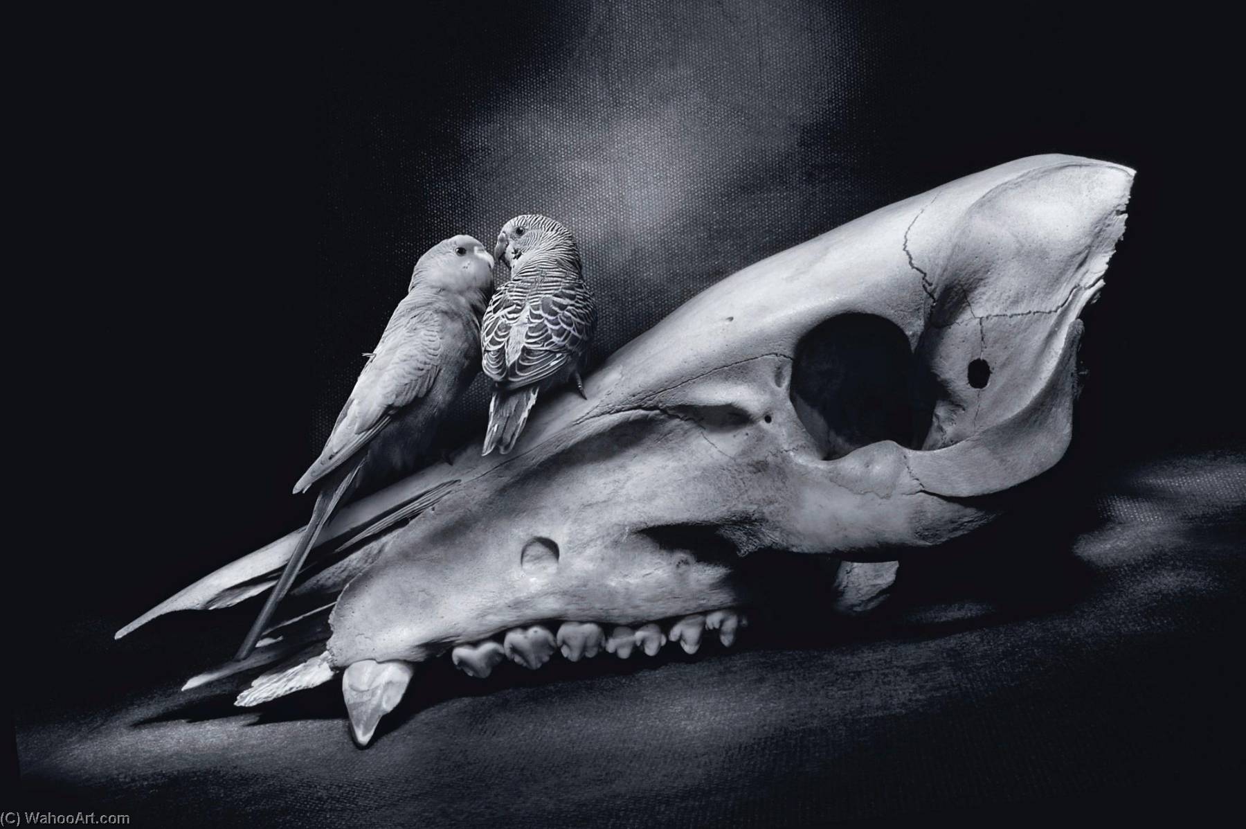 The Kiss — Agan Harahap