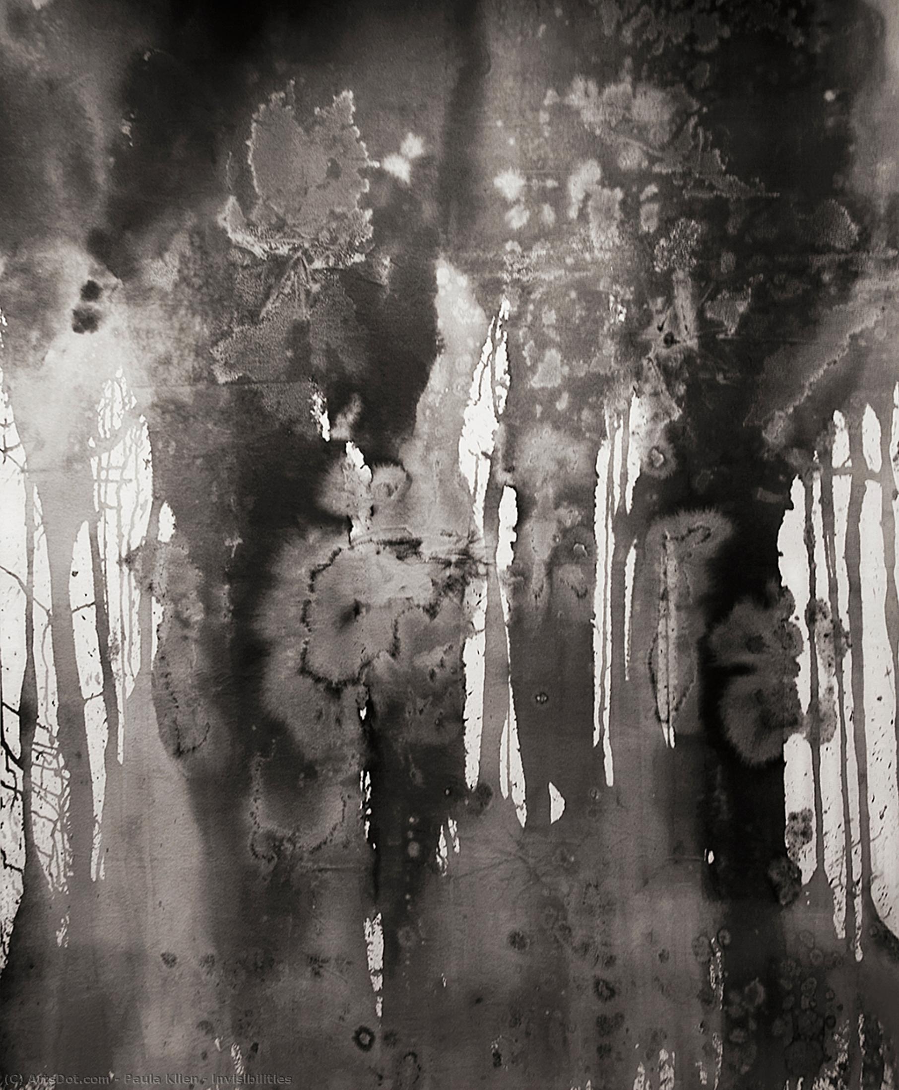 Invisibilities — Paula Klien